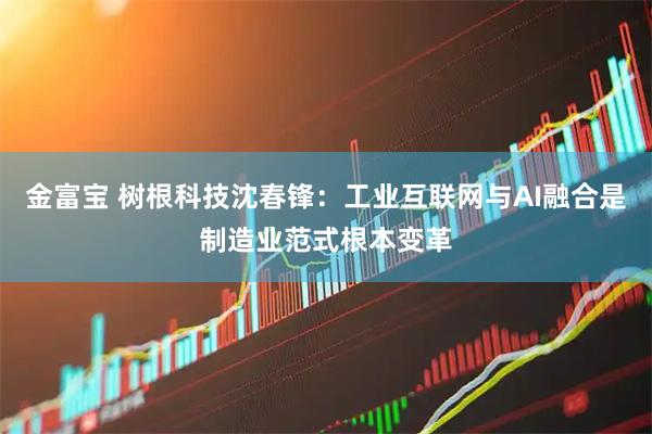 金富宝 树根科技沈春锋：工业互联网与AI融合是制造业范式根本变革